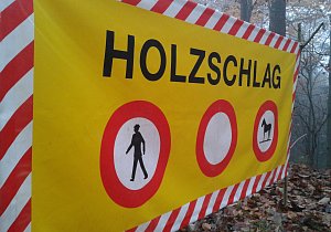 1 Titel