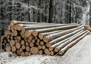 20170126 151059