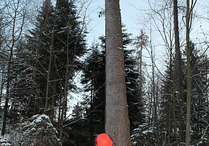IMG 8606